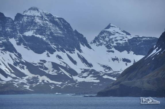 Típico cenário da Geórgia do Sul, visto de Prion Island